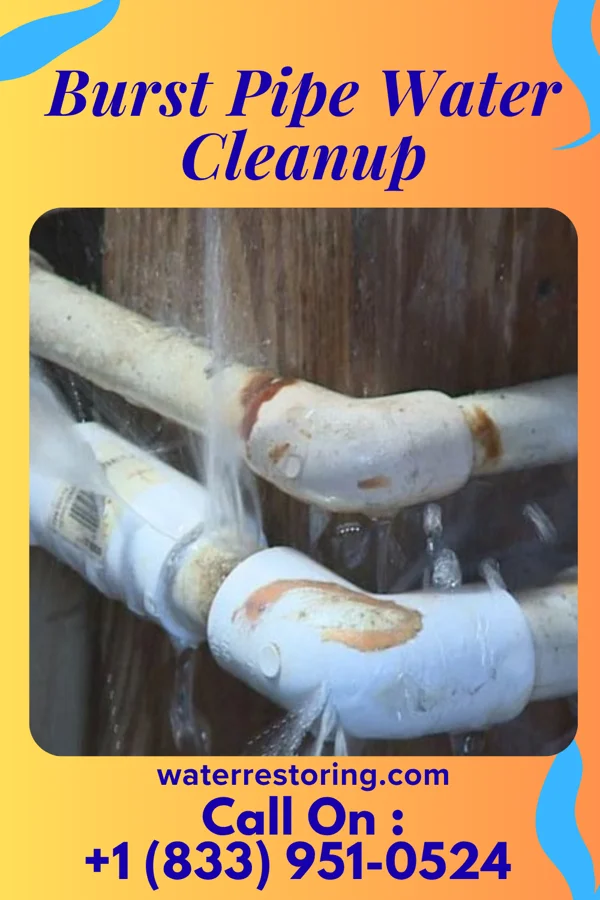 Burst Pipe Water Cleanup in Kean University, NJ