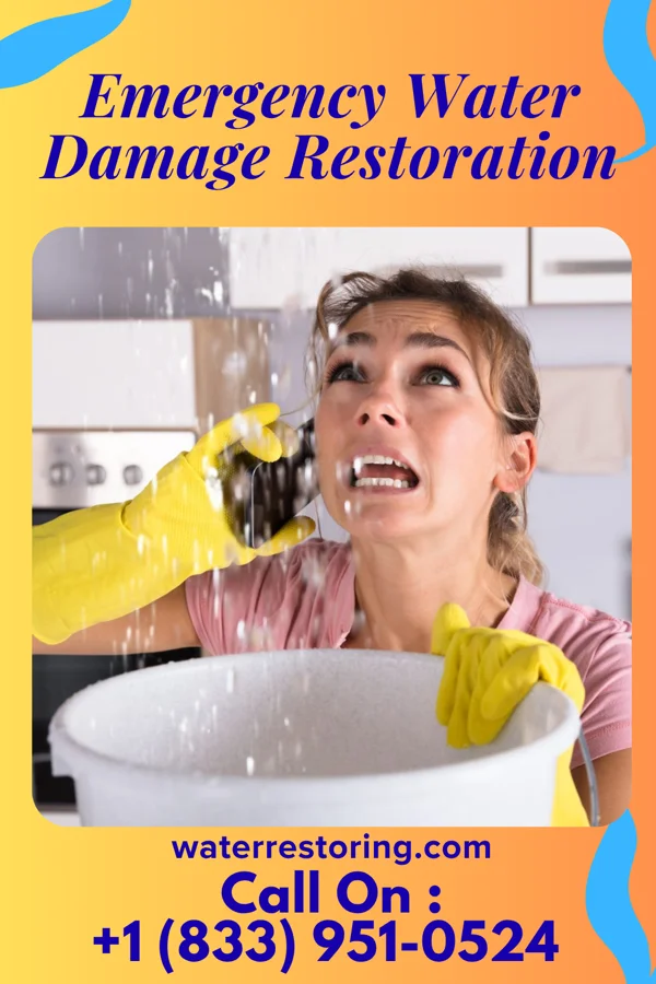 Emergency Water Damage Restoration in Kean University, NJ