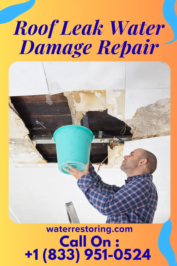 Roof Leak Water Damage Repair in Kean University, NJ