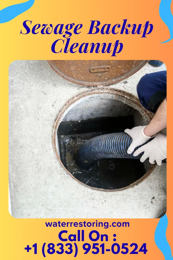 Sewage Backup Cleanup in Kean University, NJ