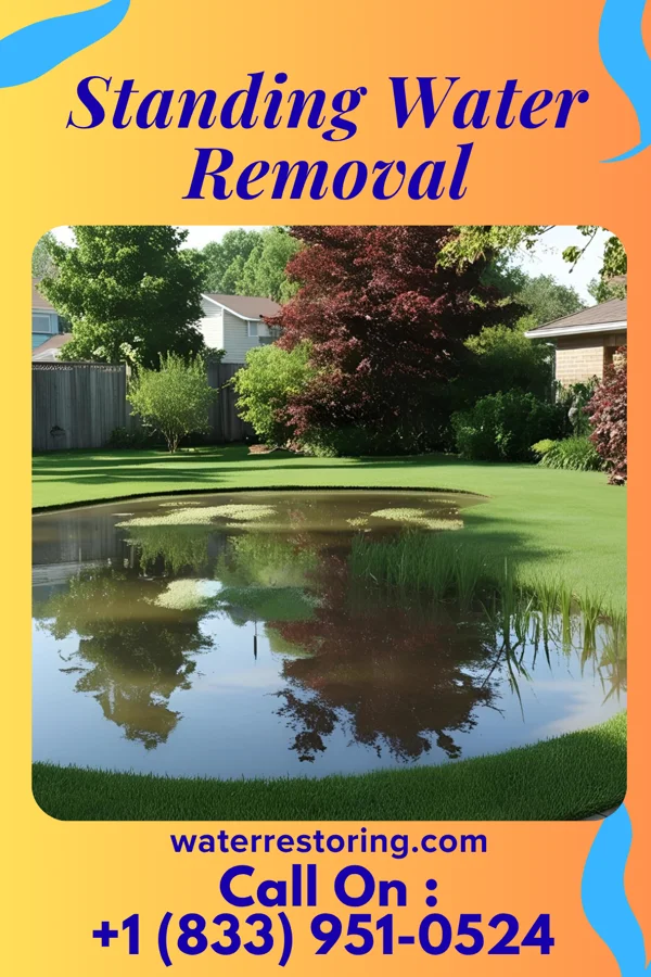 Standing Water Removal in Kean University, NJ